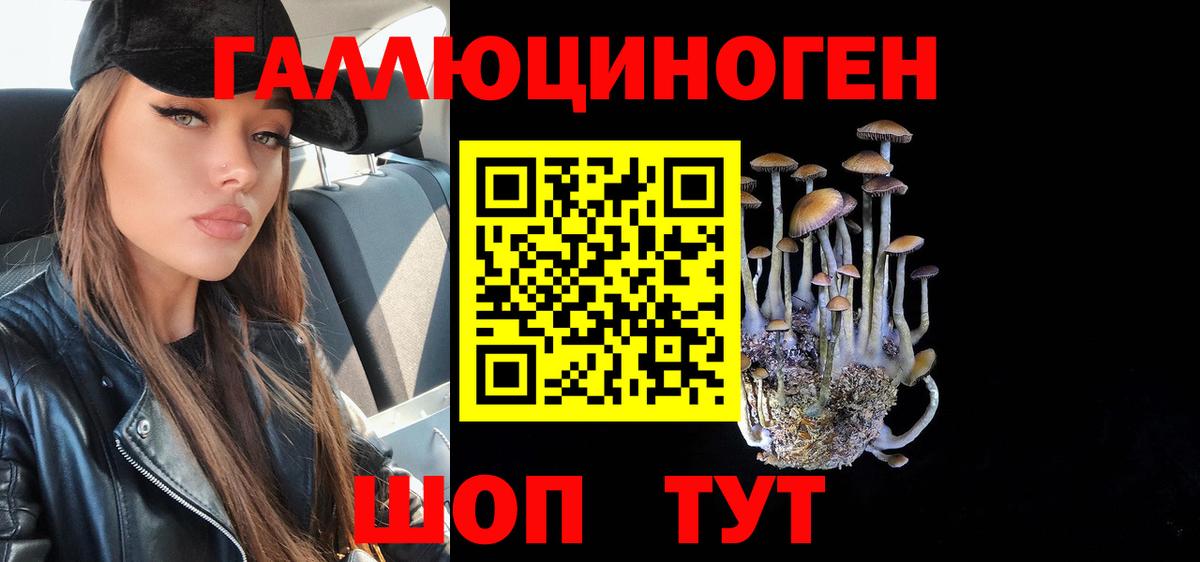 Псилоцибиновые грибы Psilocybe  Вход с VPN  Псков 